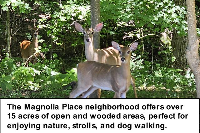 507 Medallion Cir, Clarksville, TN 37042