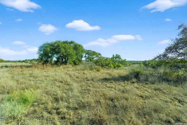 732 Whiskey Trail, Blanco, TX 78606