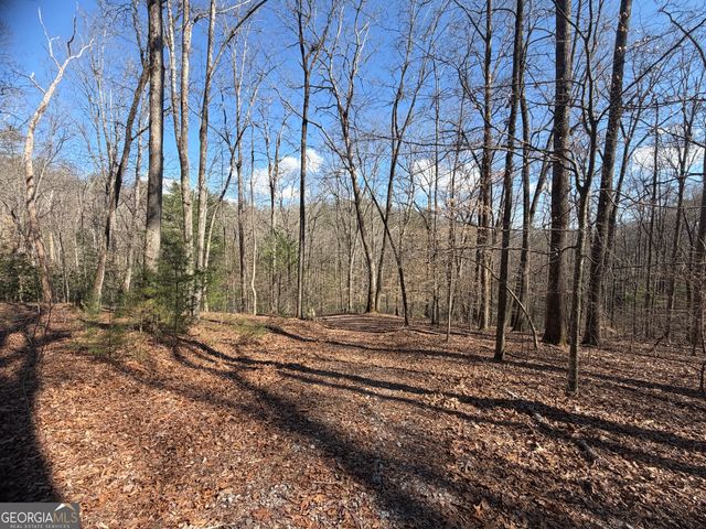 0 Shadow Mountain Drive 32, Dillard, GA 30537