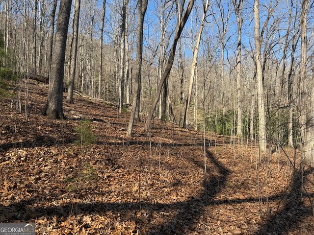 0 Shadow Mountain Drive 32, Dillard, GA 30537