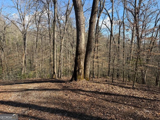 0 Shadow Mountain Drive 32, Dillard, GA 30537