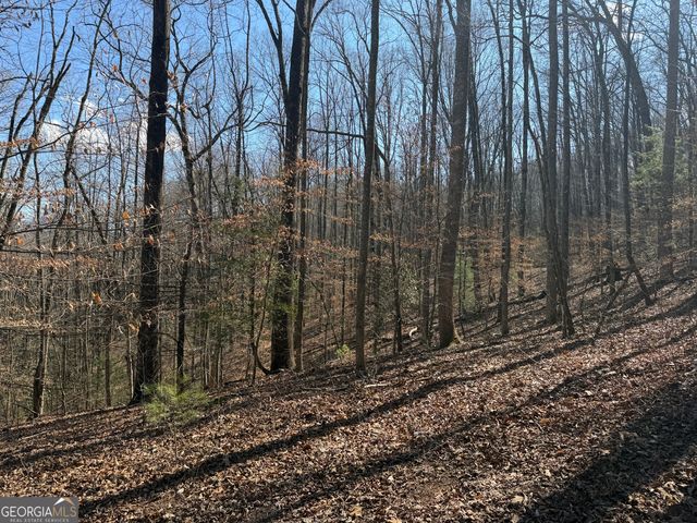 0 Shadow Mountain Drive 32, Dillard, GA 30537