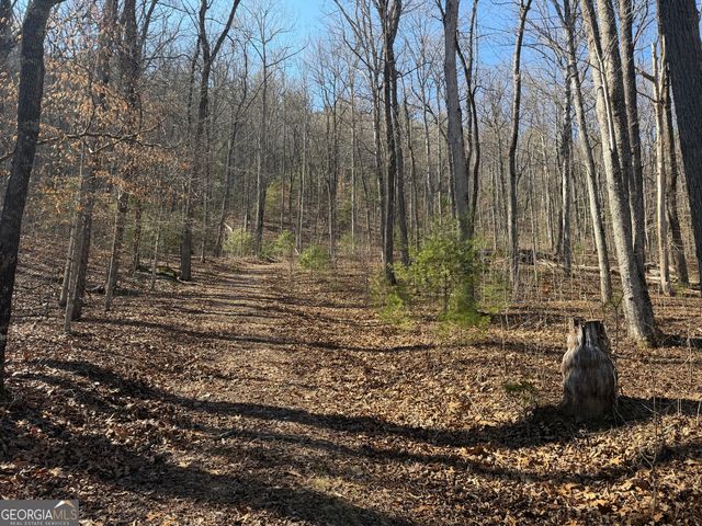 0 Shadow Mountain Drive 32, Dillard, GA 30537
