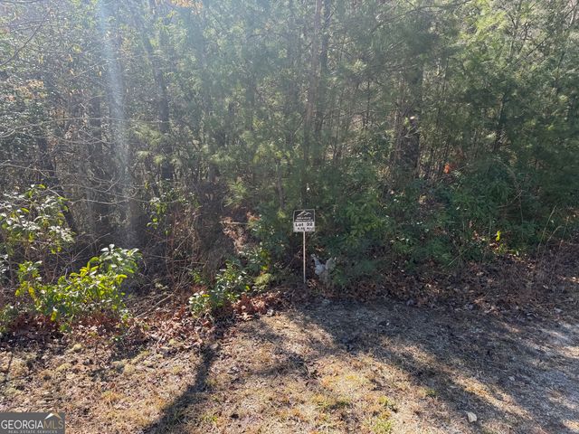 0 Shadow Mountain Drive 32, Dillard, GA 30537