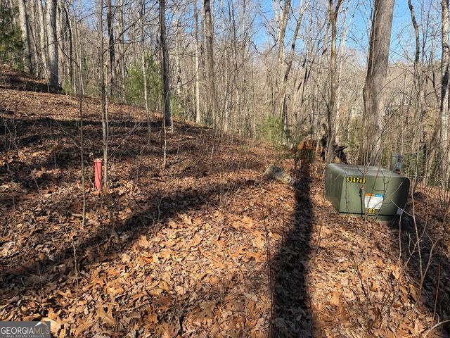 0 Shadow Mountain Drive 32, Dillard, GA 30537