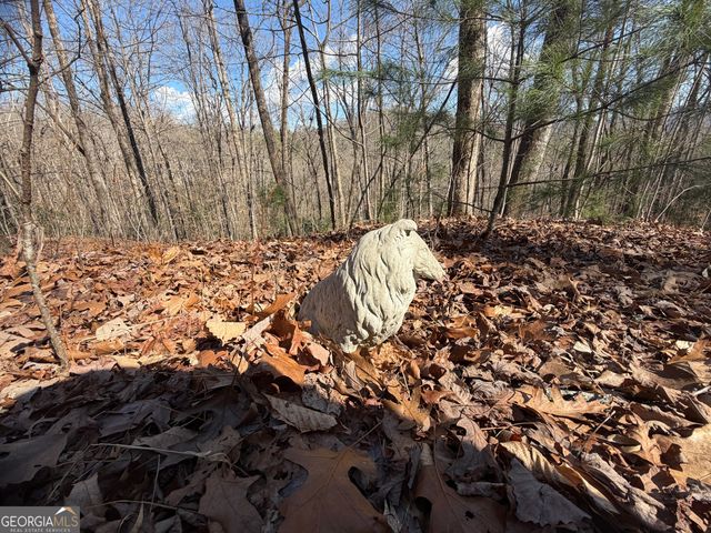 0 Shadow Mountain Drive 32, Dillard, GA 30537