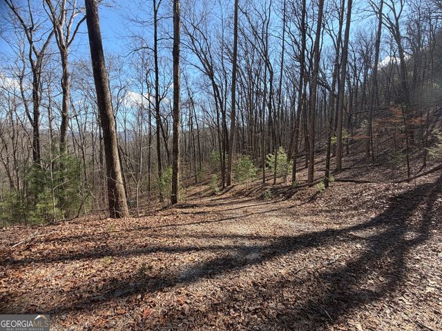 0 Shadow Mountain Drive 32, Dillard, GA 30537