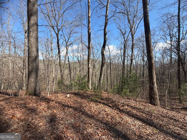 0 Shadow Mountain Drive 32, Dillard, GA 30537