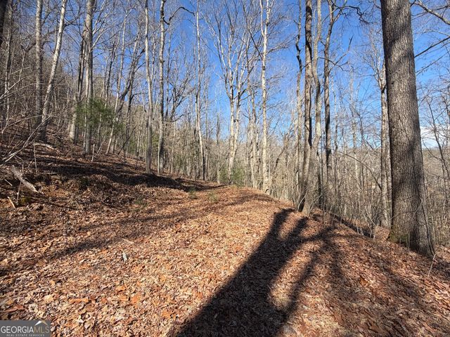 0 Shadow Mountain Drive 32, Dillard, GA 30537