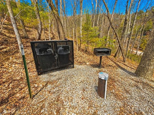 2580 Black Bear Ln, Sevierville, TN 37876