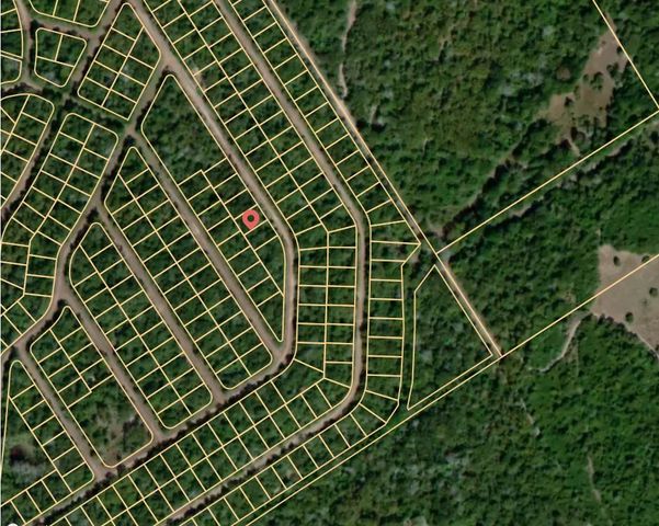 Lot 4 E Austin Colony, Normangee, TX 77871