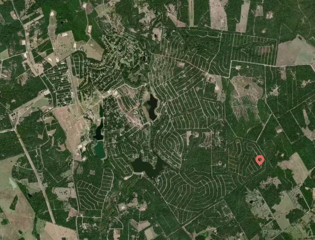 Lot 4 E Austin Colony, Normangee, TX 77871