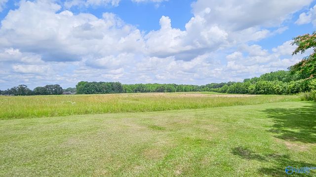 17688 Brownsferry Road, Athens, AL 35611