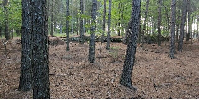 0 High Point Lane Lot 79, Jasper, TN 37347