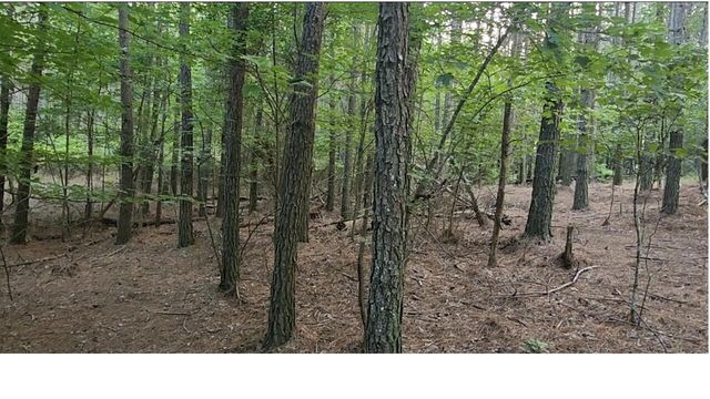 0 High Point Lane Lot 79, Jasper, TN 37347