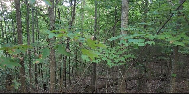 0 High Point Lane Lot 79, Jasper, TN 37347