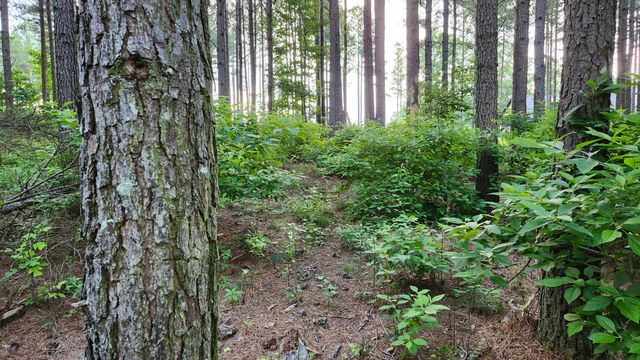 0 High Point Lane Lot 79, Jasper, TN 37347