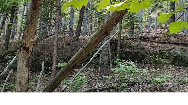 0 High Point Lane Lot 79, Jasper, TN 37347