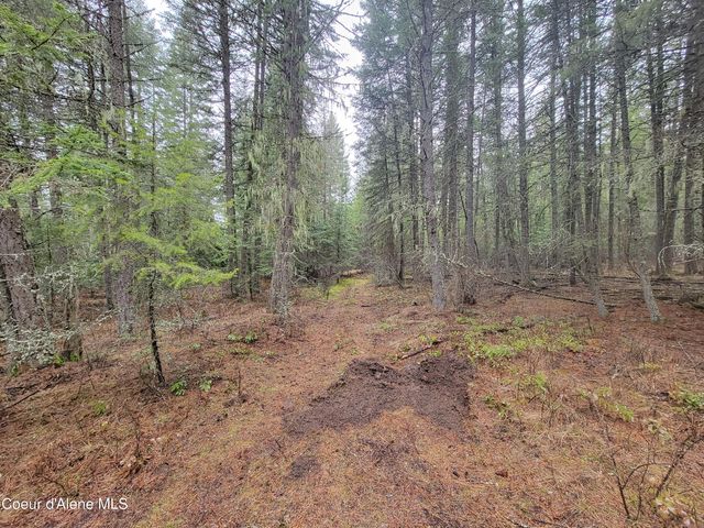 NKA Terry Trail, Priest River, ID 83856