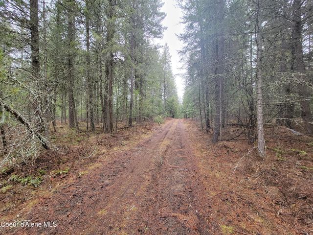 NKA Terry Trail, Priest River, ID 83856