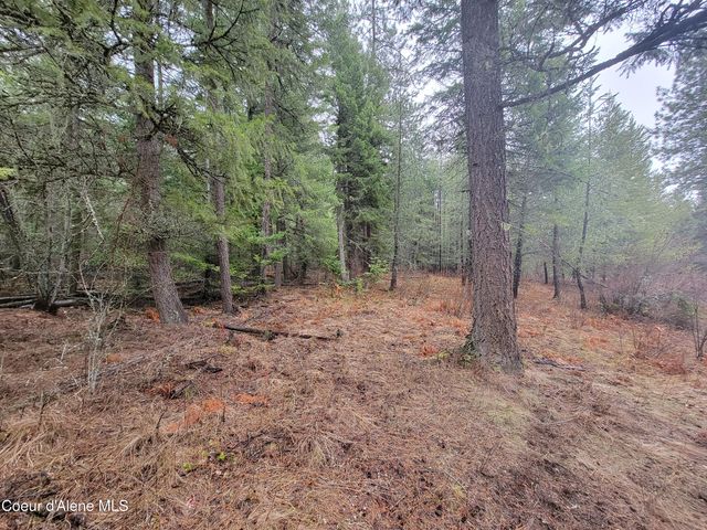 NKA Terry Trail, Priest River, ID 83856