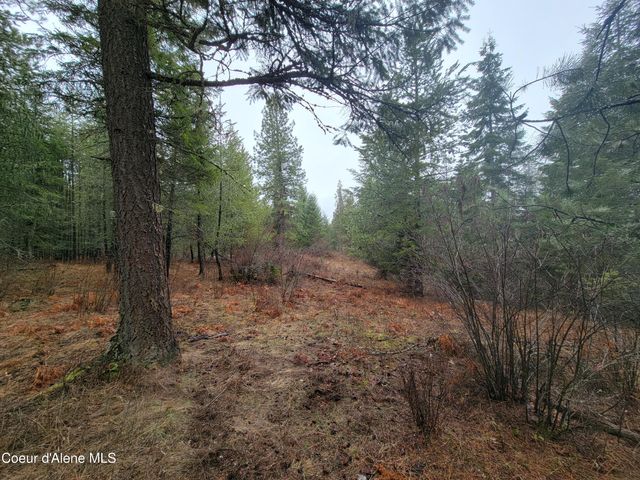 NKA Terry Trail, Priest River, ID 83856
