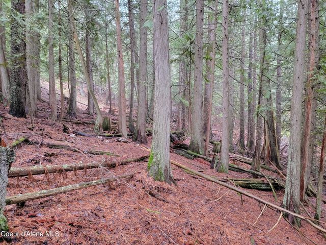 NKA Terry Trail, Priest River, ID 83856