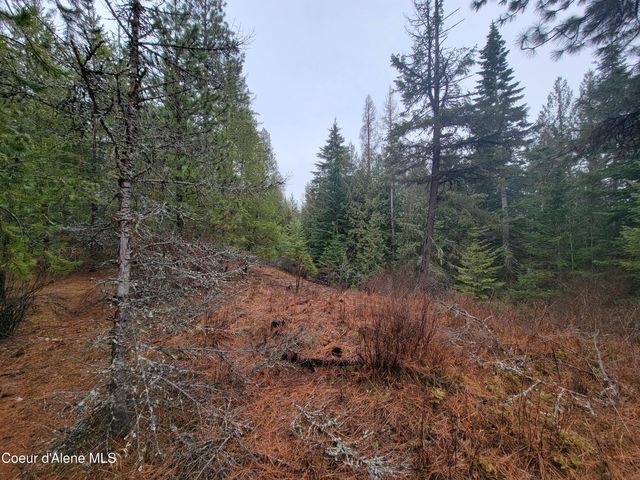 NKA Terry Trail, Priest River, ID 83856