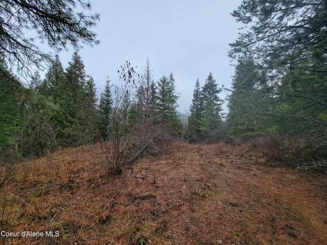 NKA Terry Trail, Priest River, ID 83856