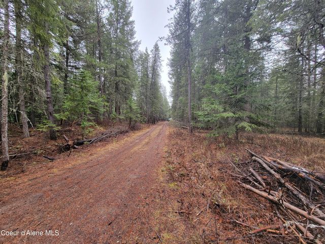 NKA Terry Trail, Priest River, ID 83856