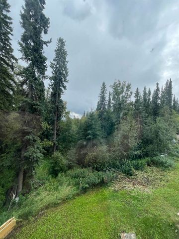 746 NINE MILE HILL ROAD, Fairbanks, AK 99712