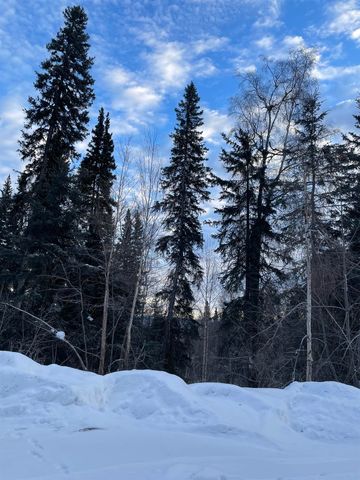 746 NINE MILE HILL ROAD, Fairbanks, AK 99712