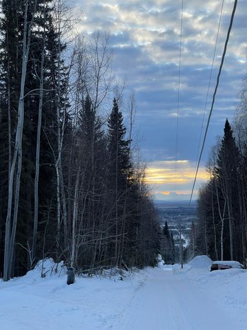 746 NINE MILE HILL ROAD, Fairbanks, AK 99712