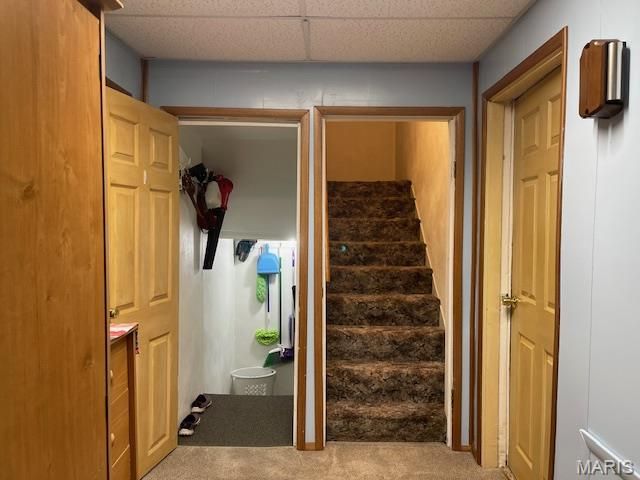 413 E Wickliffe Avenue, Collinsville, IL 62234