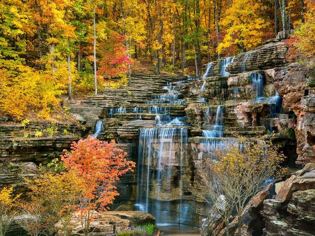 610 Abby Lane 9, Branson, MO 65616