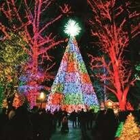 610 Abby Lane 9, Branson, MO 65616