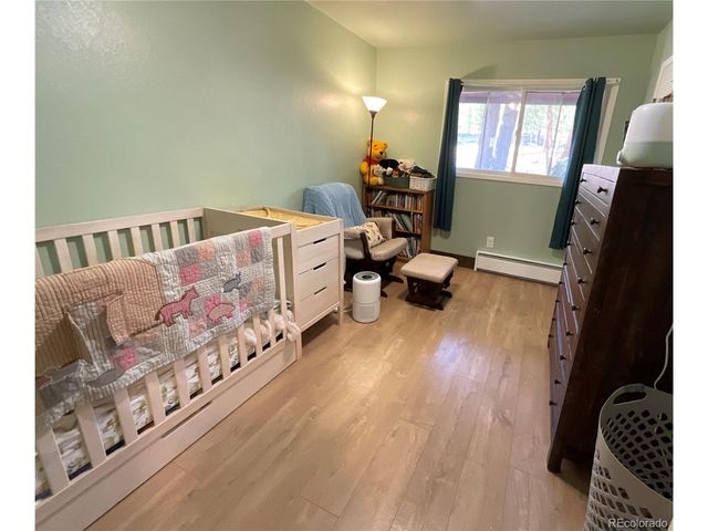 1776 County Road 4, Leadville, CO 80461
