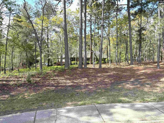 255 E Columbia Club Drive, Blythewood, SC 29016