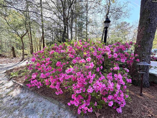 255 E Columbia Club Drive, Blythewood, SC 29016