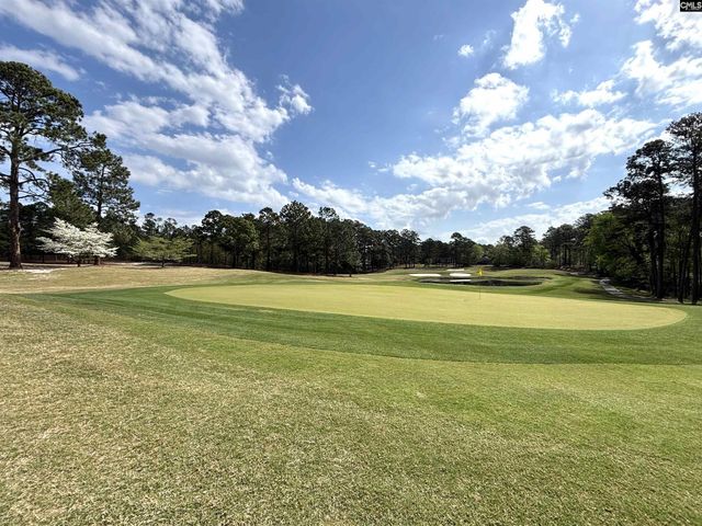 255 E Columbia Club Drive, Blythewood, SC 29016