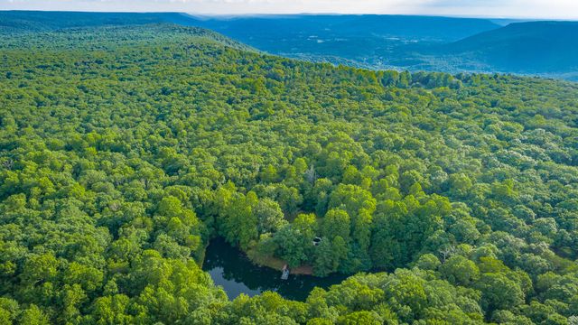 405 Plum Nelly Trail, Rising Fawn, GA 30738
