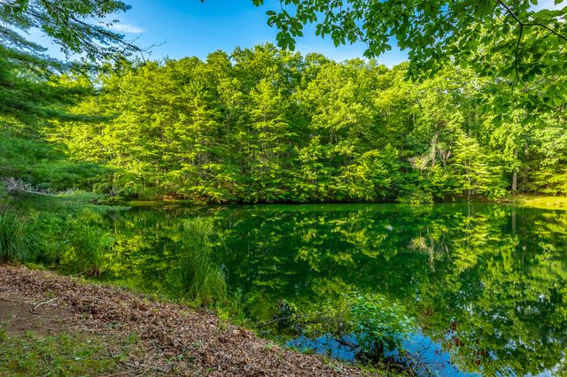 405 Plum Nelly Trail, Rising Fawn, GA 30738