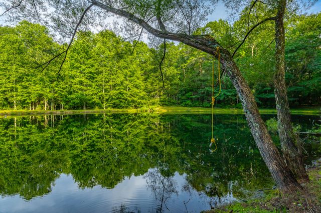 405 Plum Nelly Trail, Rising Fawn, GA 30738