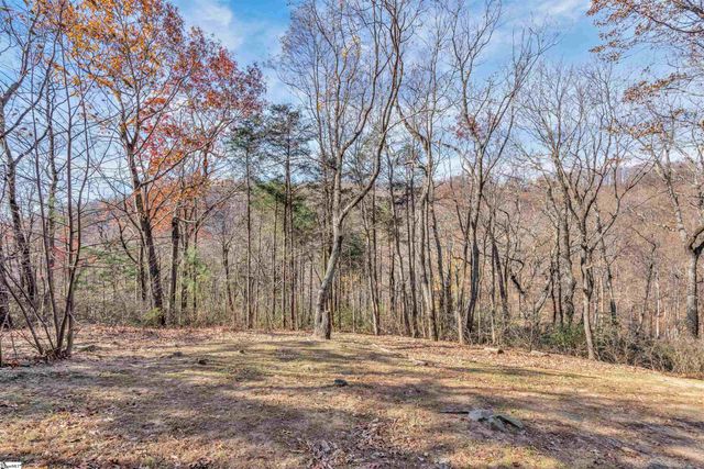 20 Moccasin Flower Trail, Landrum, SC 29356