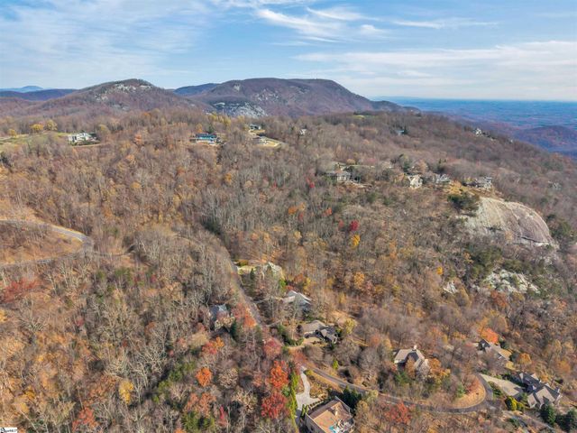 20 Moccasin Flower Trail, Landrum, SC 29356