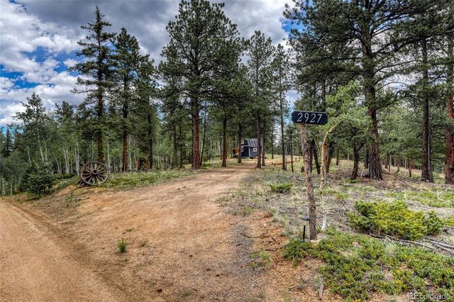 2927 Pathfinder Road, Florissant, CO 80816