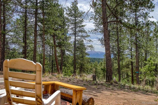 2927 Pathfinder Road, Florissant, CO 80816
