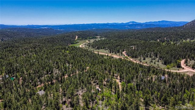 2927 Pathfinder Road, Florissant, CO 80816