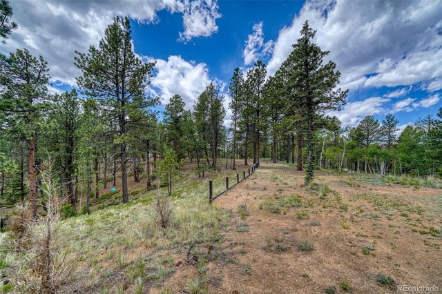 2927 Pathfinder Road, Florissant, CO 80816