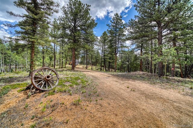 2927 Pathfinder Road, Florissant, CO 80816